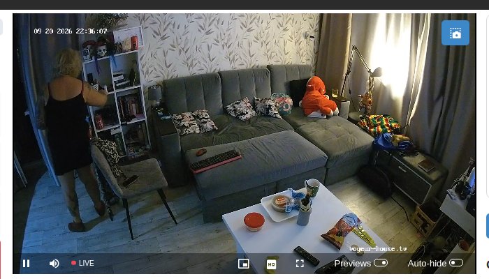 Wohnzimmer einer zweiten Wohnung bei Voyeur House TV
